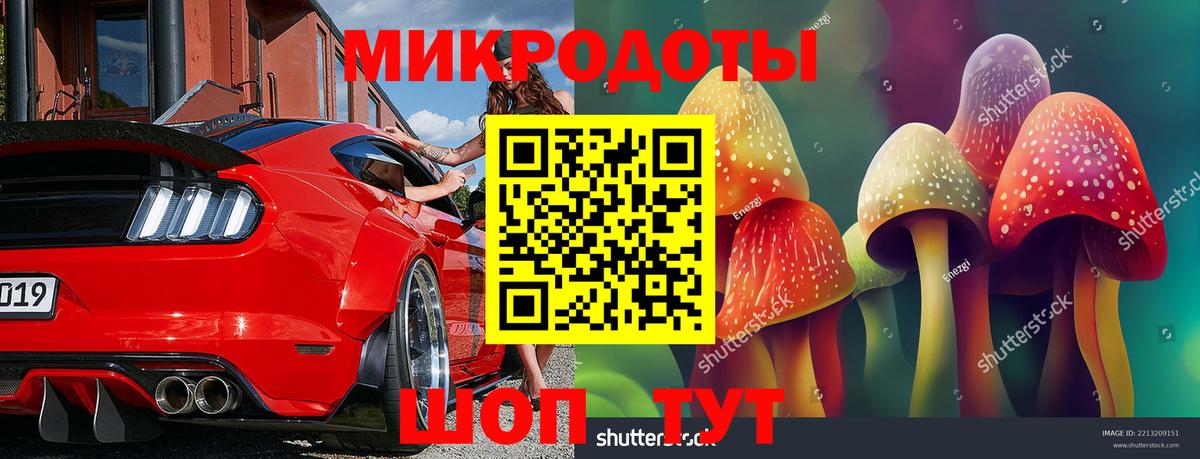 Заволжье  Псилоцибиновые грибы Magic Shrooms  Вход с VPN 