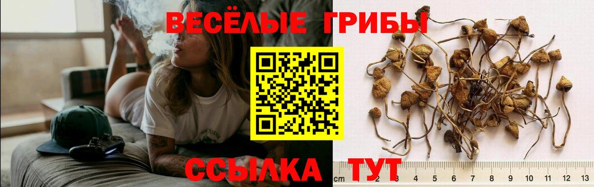 Галлюциногенные грибы ЛСД Заволжье